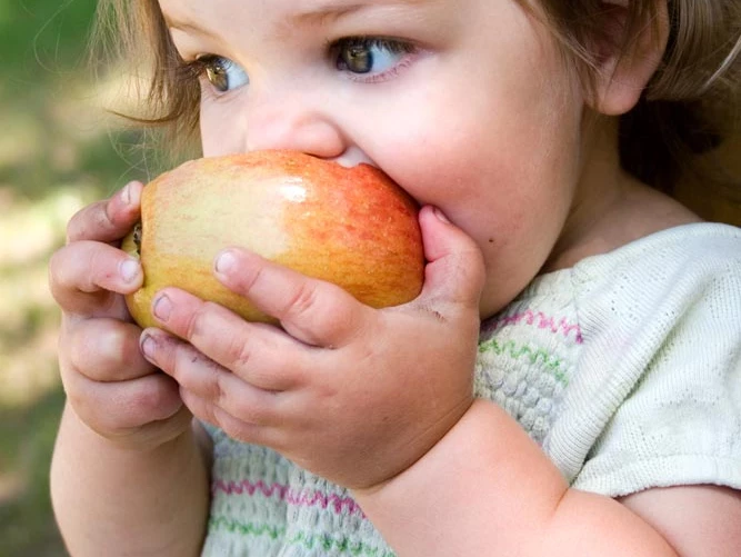 Eat Like a Baby: Focusing on Mindful Eating